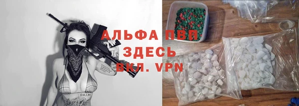 спайс Бородино