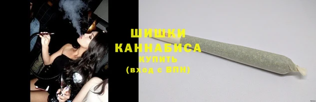 спайс Бородино