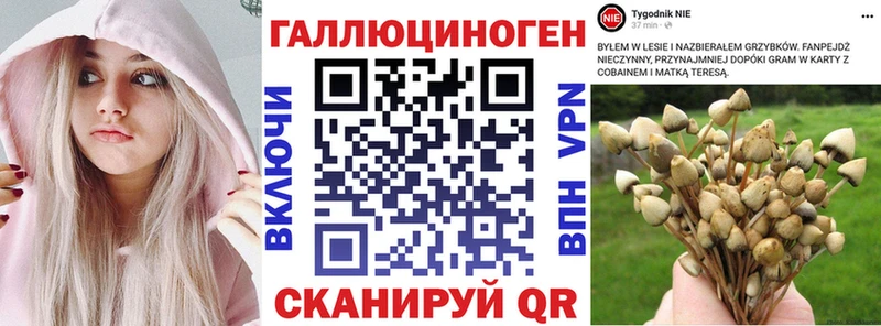 omg ССЫЛКА  Курск  Псилоцибиновые грибы прущие грибы 